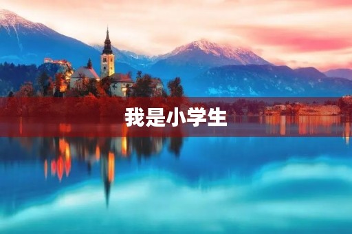 我是小学生，来介绍一下自己