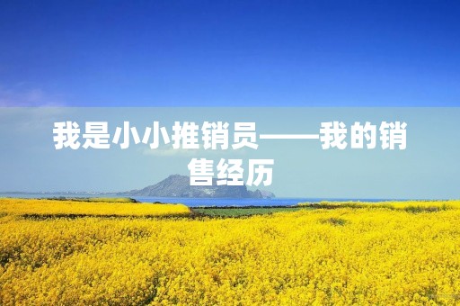 我是小小推销员——我的销售经历