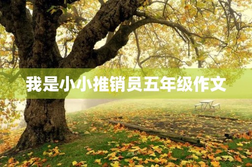 我是小小推销员五年级作文 我是小小推销员五年级作文
