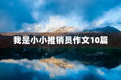 我是小小推销员作文10篇 我是小小推销员作文10篇