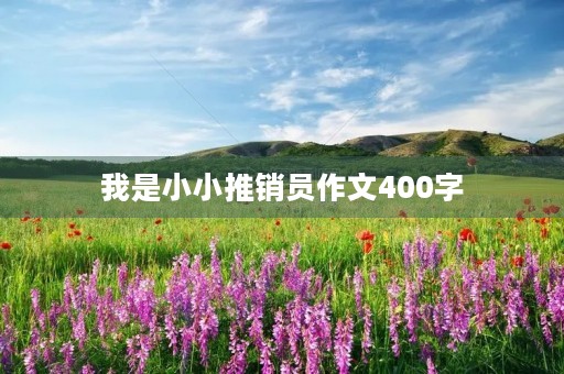 我是小小推销员作文400字 我是小小推销员作文400字
