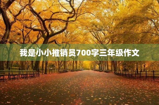 我是小小推销员700字三年级作文