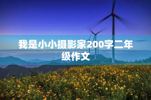我是小小摄影家200字二年级作文