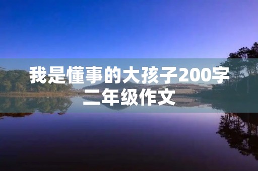 我是懂事的大孩子200字二年级作文