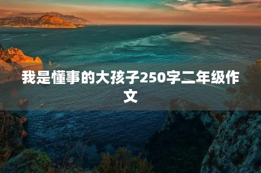 我是懂事的大孩子250字二年级作文