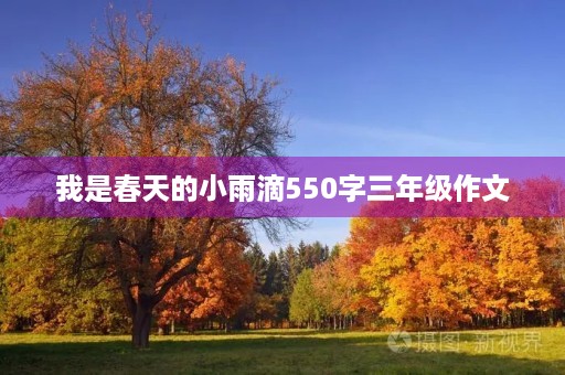 我是春天的小雨滴550字三年级作文