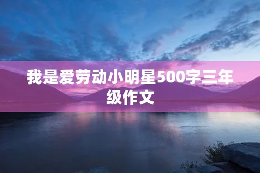 我是爱劳动小明星500字三年级作文