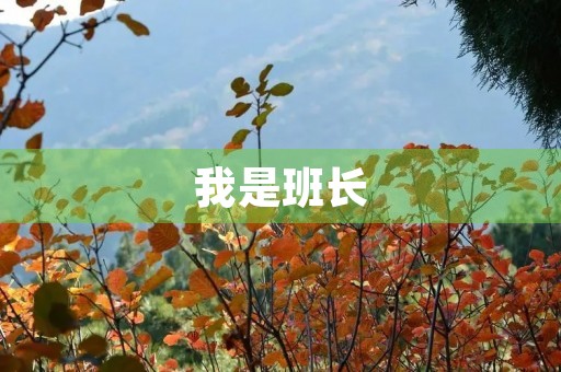 我是班长，我该如何领导我的班级？