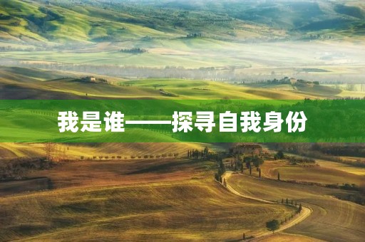 我是谁——探寻自我身份 我是谁——探寻自我身份