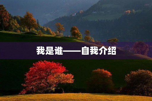 我是谁——自我介绍 我是谁——自我介绍