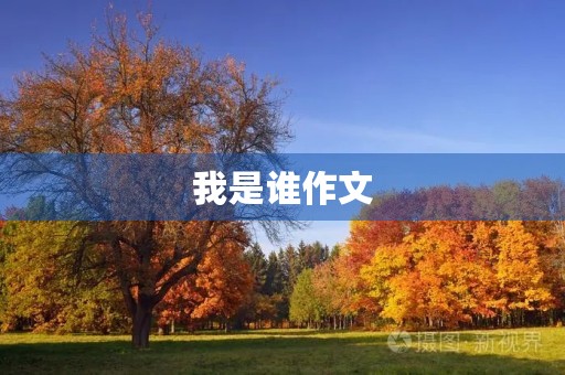 我是谁作文