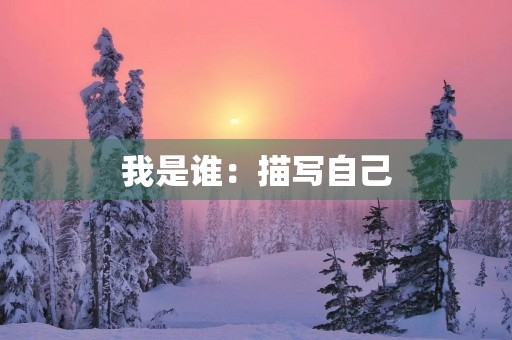 我是谁：描写自己