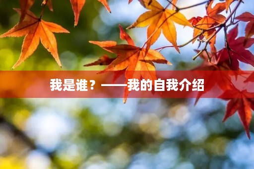 我是谁？——我的自我介绍