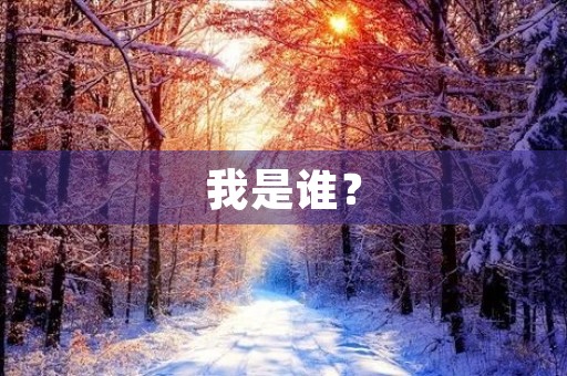 我是谁？
