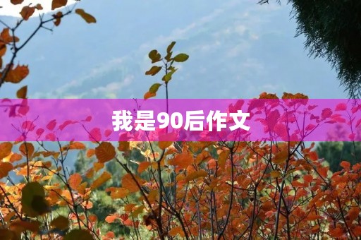 我是90后作文