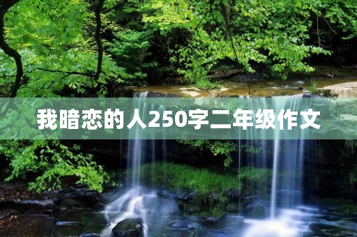 我暗恋的人250字二年级作文 我暗恋的人250字二年级作文