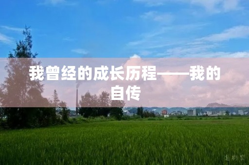 我曾经的成长历程——我的自传