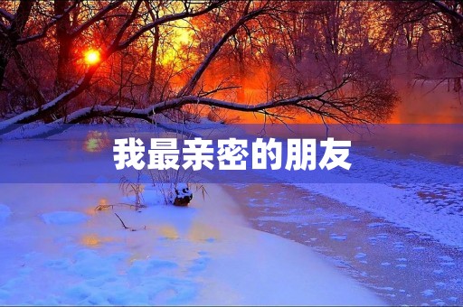我最亲密的朋友