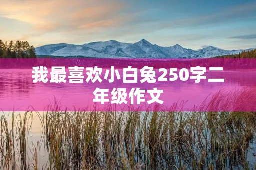 我最喜欢小白兔250字二年级作文