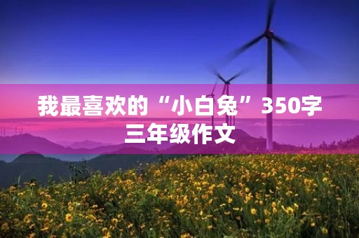 我最喜欢的“小白兔”350字三年级作文 我最喜欢的“小白兔”350字三年级作文