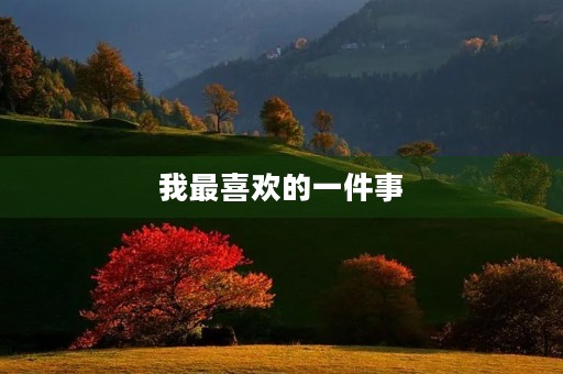 我最喜欢的一件事 我最喜欢的一件事