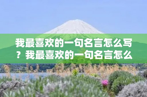 我最喜欢的一句名言怎么写？我最喜欢的一句名言怎么写三年级