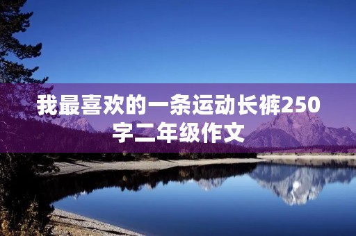 我最喜欢的一条运动长裤250字二年级作文 我最喜欢的一条运动长裤250字二年级作文
