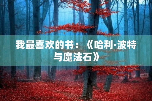 我最喜欢的书:《哈利·波特与魔法石》 我最喜欢的书:《哈利·波特与魔法石》