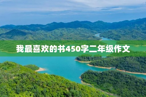 我最喜欢的书450字二年级作文