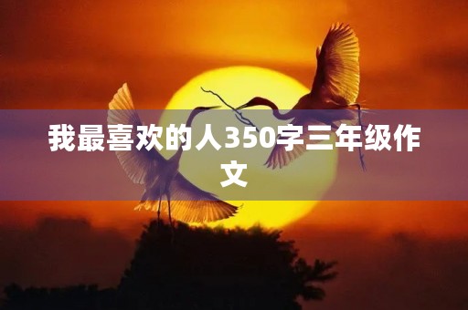我最喜欢的人350字三年级作文