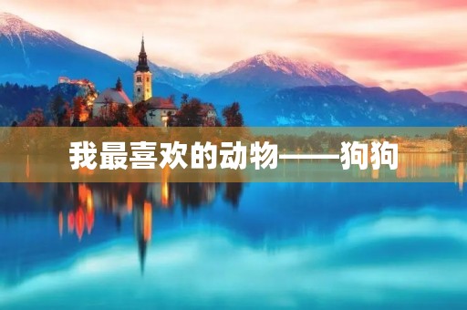我最喜欢的动物——狗狗