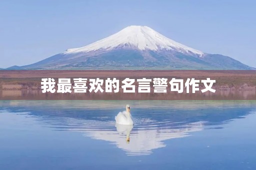 我最喜欢的名言警句作文(我最喜欢的名言警句作文600字)