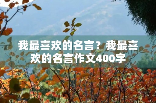 我最喜欢的名言？我最喜欢的名言作文400字