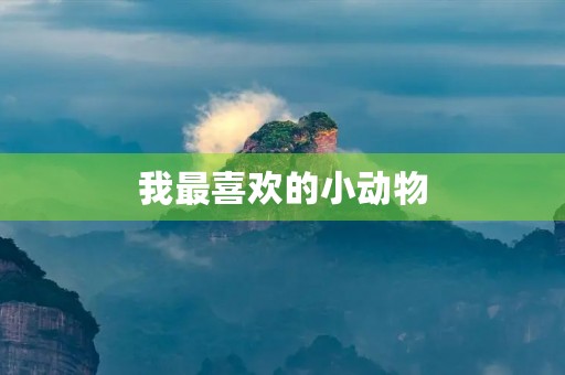我最喜欢的小动物 我最喜欢的小动物