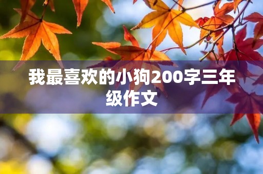 我最喜欢的小狗200字三年级作文 我最喜欢的小狗200字三年级作文