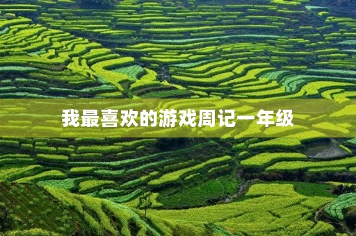 我最喜欢的游戏周记一年级