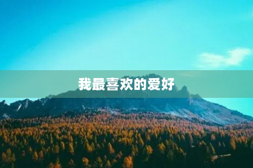 我最喜欢的爱好
