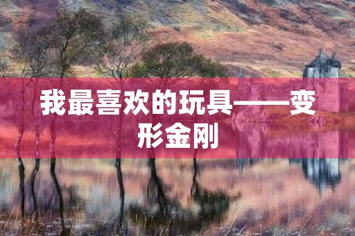 我最喜欢的玩具——变形金刚