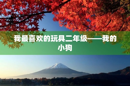 我最喜欢的玩具二年级——我的小狗