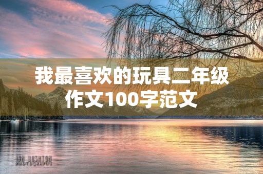 我最喜欢的玩具二年级作文100字范文