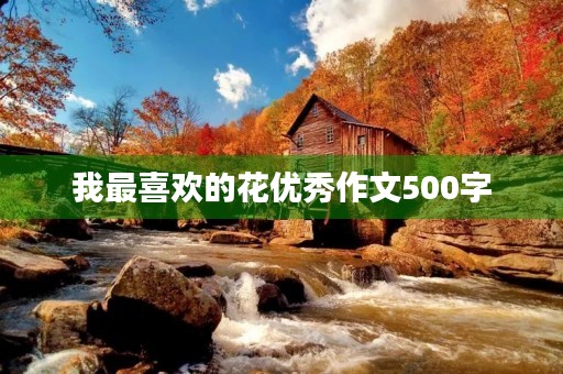 我最喜欢的花优秀作文500字 我最喜欢的花优秀作文500字