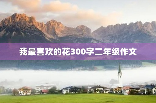 我最喜欢的花300字二年级作文