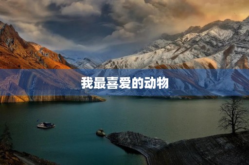 我最喜爱的动物