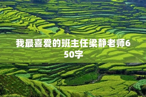 我最喜爱的班主任梁静老师650字