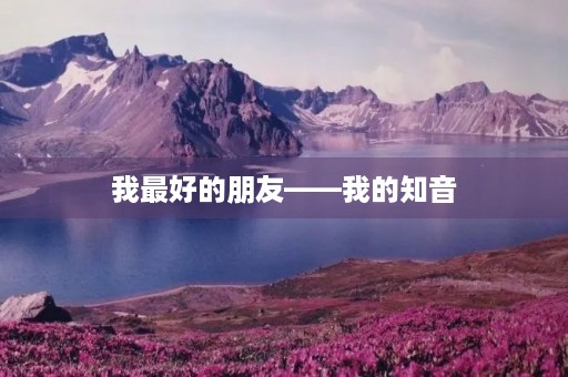 我最好的朋友——我的知音