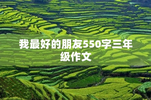 我最好的朋友550字三年级作文 我最好的朋友550字三年级作文