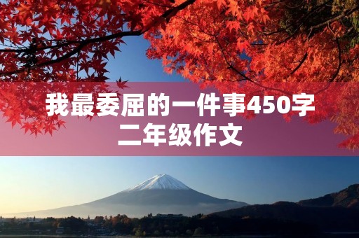 我最委屈的一件事450字二年级作文