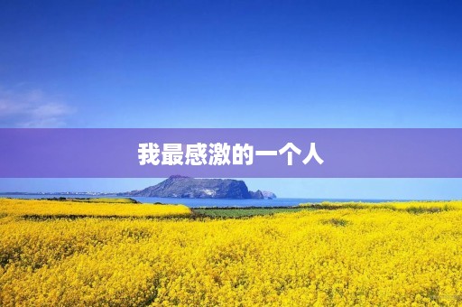 我最感激的一个人 我最感激的一个人