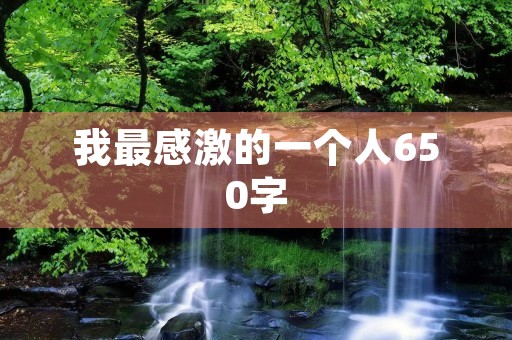 我最感激的一个人650字
