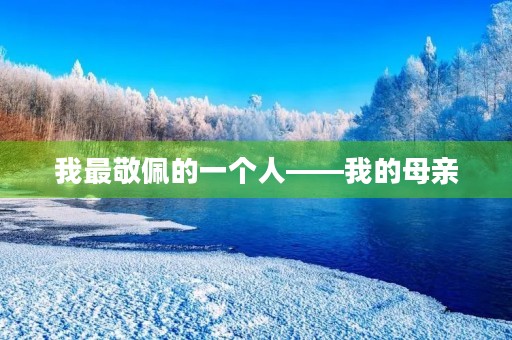 我最敬佩的一个人——我的母亲 我最敬佩的一个人——我的母亲